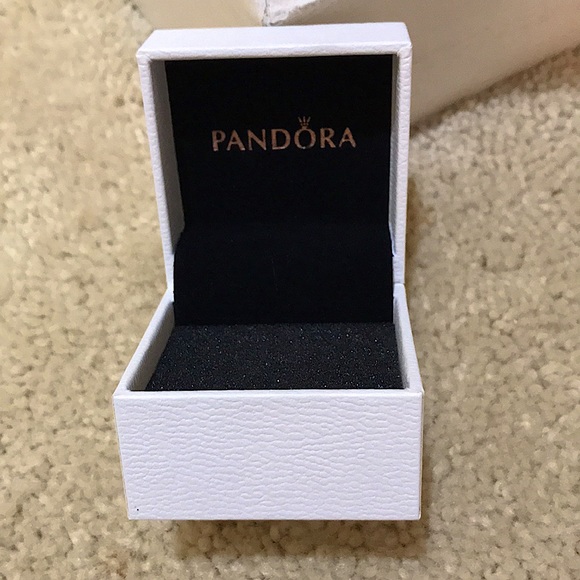 🆕🔥PANDORA(CHARM BOX ONLY) SUPER CUTE CAN BE USED FOR UP TO 10 CHARMS/AUTHENTIC - Picture 2 of 5